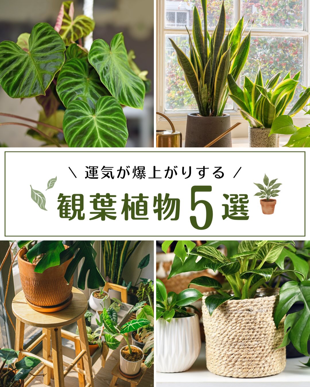 人気の投稿